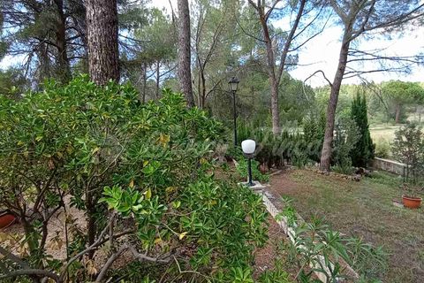 Landejendom i Ayora, Valencia, Ayora - € 186.000 | Ref: SF0459 - foto 39
